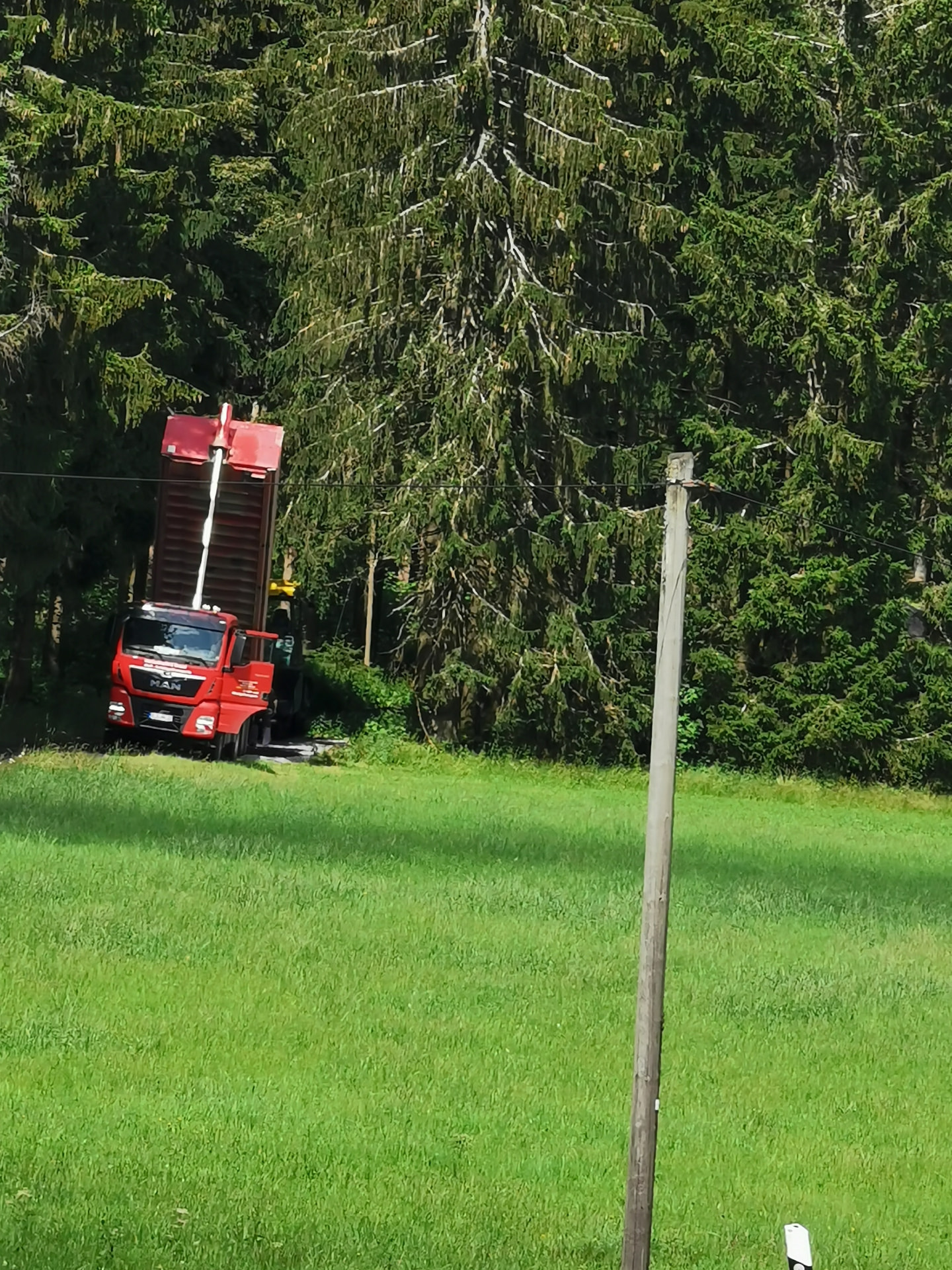Roter MAN-Kipper von Hackenbracht am Waldrand